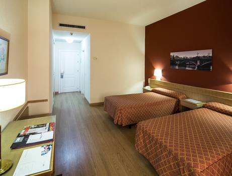 DOUBLE STANDARD ROOM FOR SINGLE USE TRH La Motilla Business & Cultural Hotel en Dos Hermanas